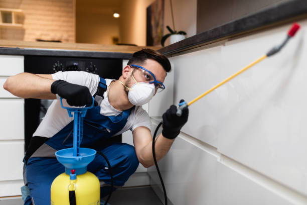 Best Bed Bug Extermination  in Risg Sun, IN