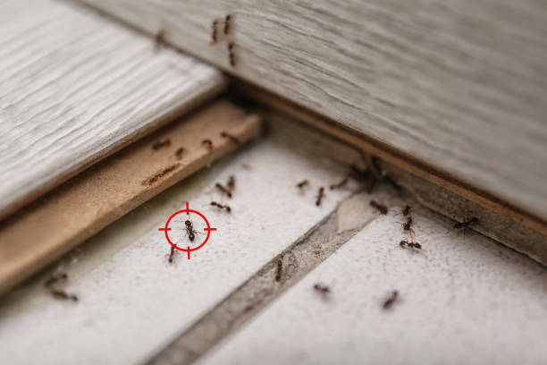 Pest Control for Restaurants in Rising Sun, IN