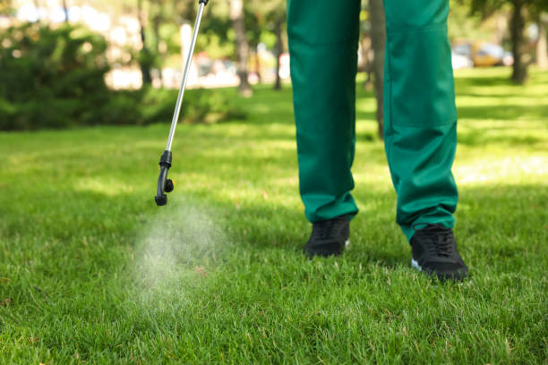 Best Flea Control Services  in Risg Sun, IN