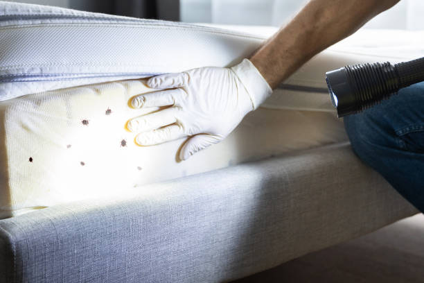 Best Affordable Pest Control Services  in Risg Sun, IN